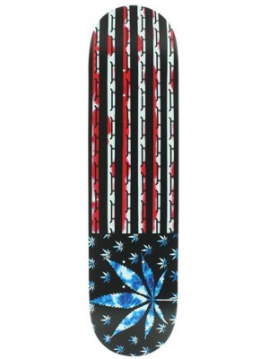 High Roller SS 7.75" Deck