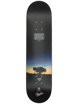 The Adventure HB 7.75" Skateboard Deck