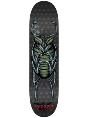 Roach Popsicle 8.5" Deck